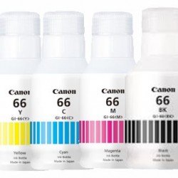 Canon Gi66 Ink Bottle Compatible